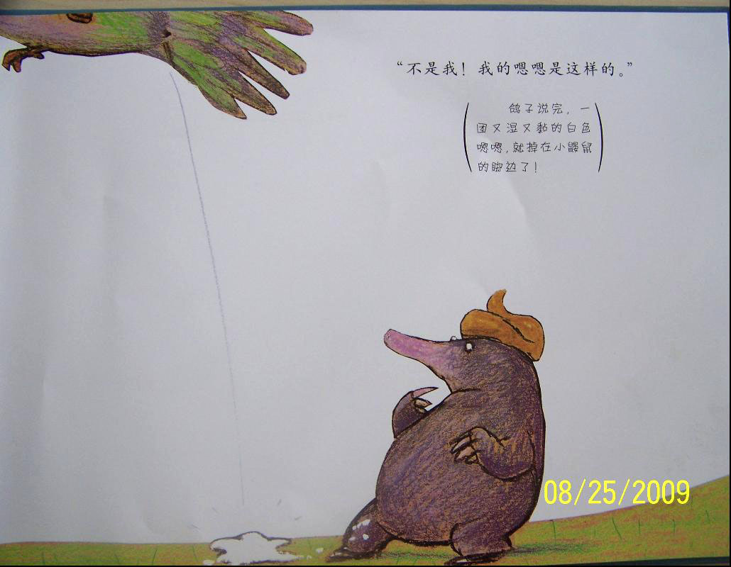 是谁嗯嗯在我头上 (06),绘本,绘本故事,绘本阅读,故事书,童书,图画书,课外阅读